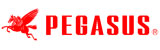 PEGASUS R 53